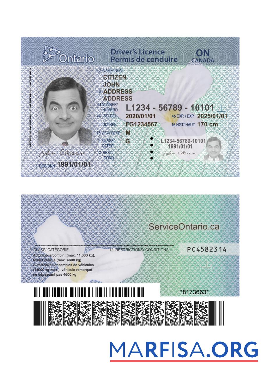 Downloadable Canada Ontario DL (2018 – present) version 2 download for verification